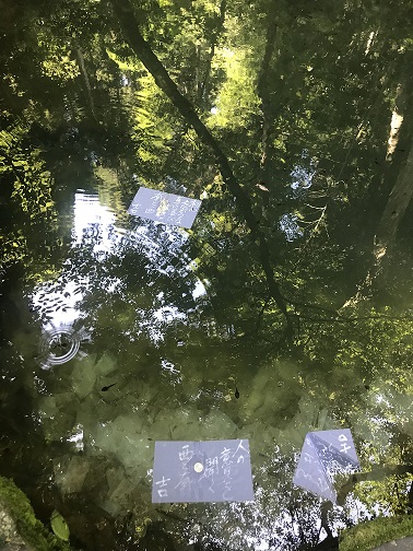 八重垣神社鏡の池